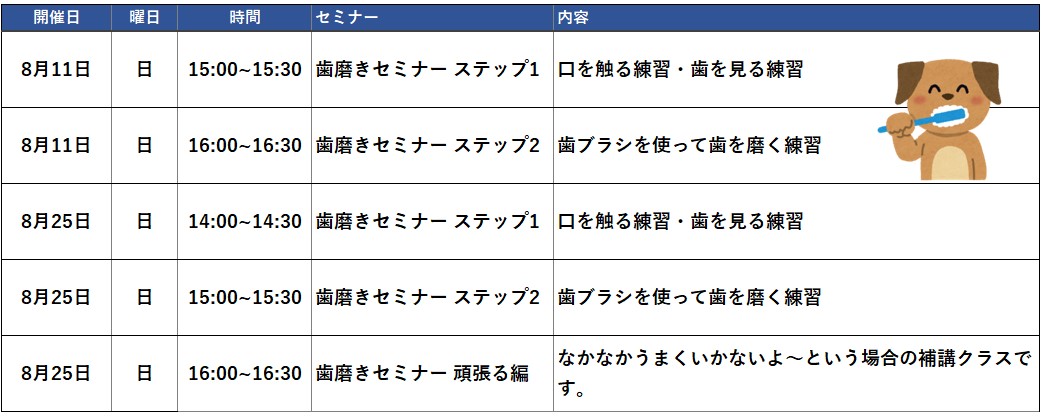 歯磨きセミナー2024年8月スケジュール