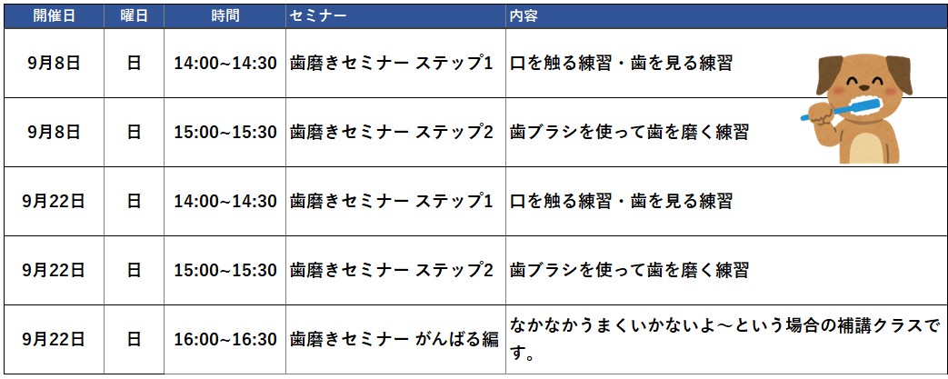 歯磨きセミナー2024年9月スケジュール