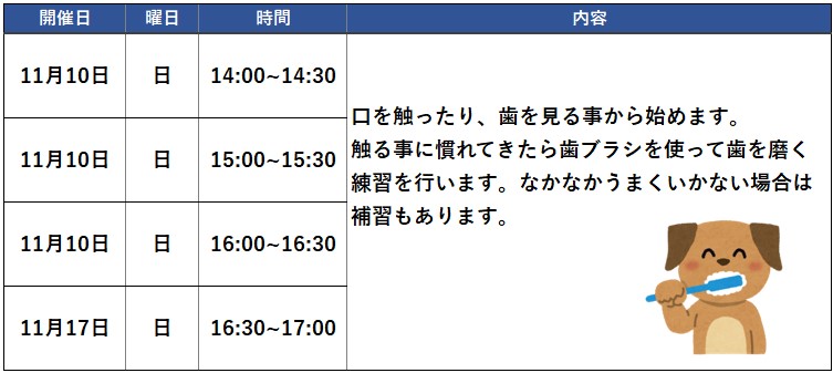 歯磨きセミナー2024年11月スケジュール