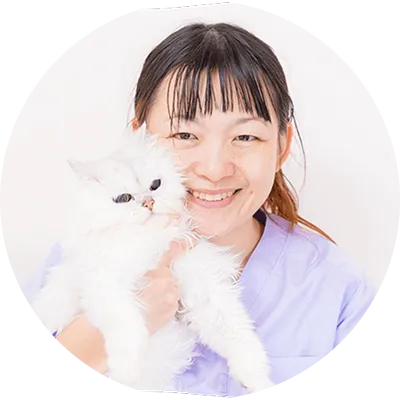 獣医師の写真