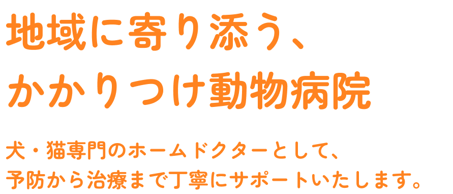 地域に寄り添う、かかりつけ動物病院。犬・猫専門のホームドクターとして、予防から治療まで丁寧にサポートいたします。