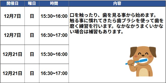歯磨きセミナー2025年12月スケジュール
